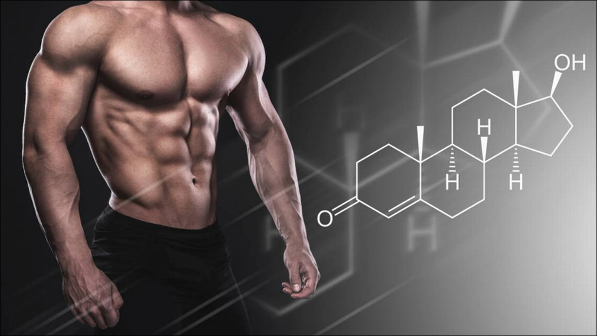 Injectable Steroids in Enhancing